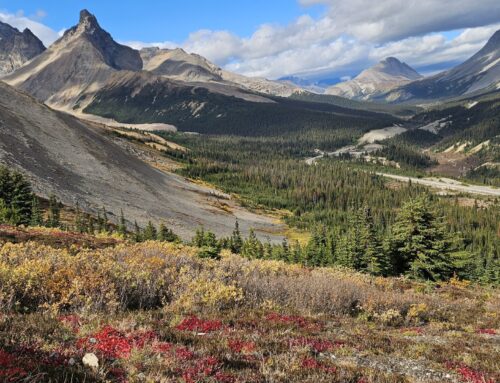 A North America Road:  Trip Part 2 – The Canadian Western Provinces