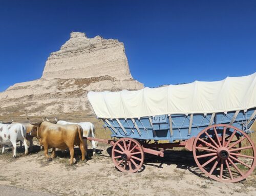 A North America Road Trip: Part 4 – Cody Wyoming to Home