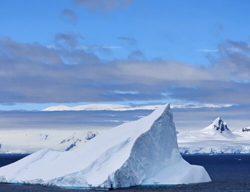 Part IV — Argentina, The Falkland Islands & Antarctica: To the End of the World